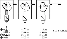Function drawing