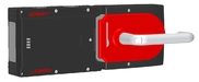 MGB-L2H-ARA-R-105786