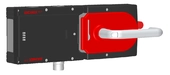 MGB-L0HE-ARA-R-111938